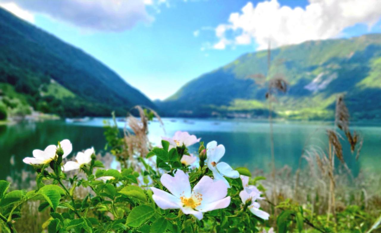 Emozioni Al Lago Farra d'Alpago Exteriér fotografie